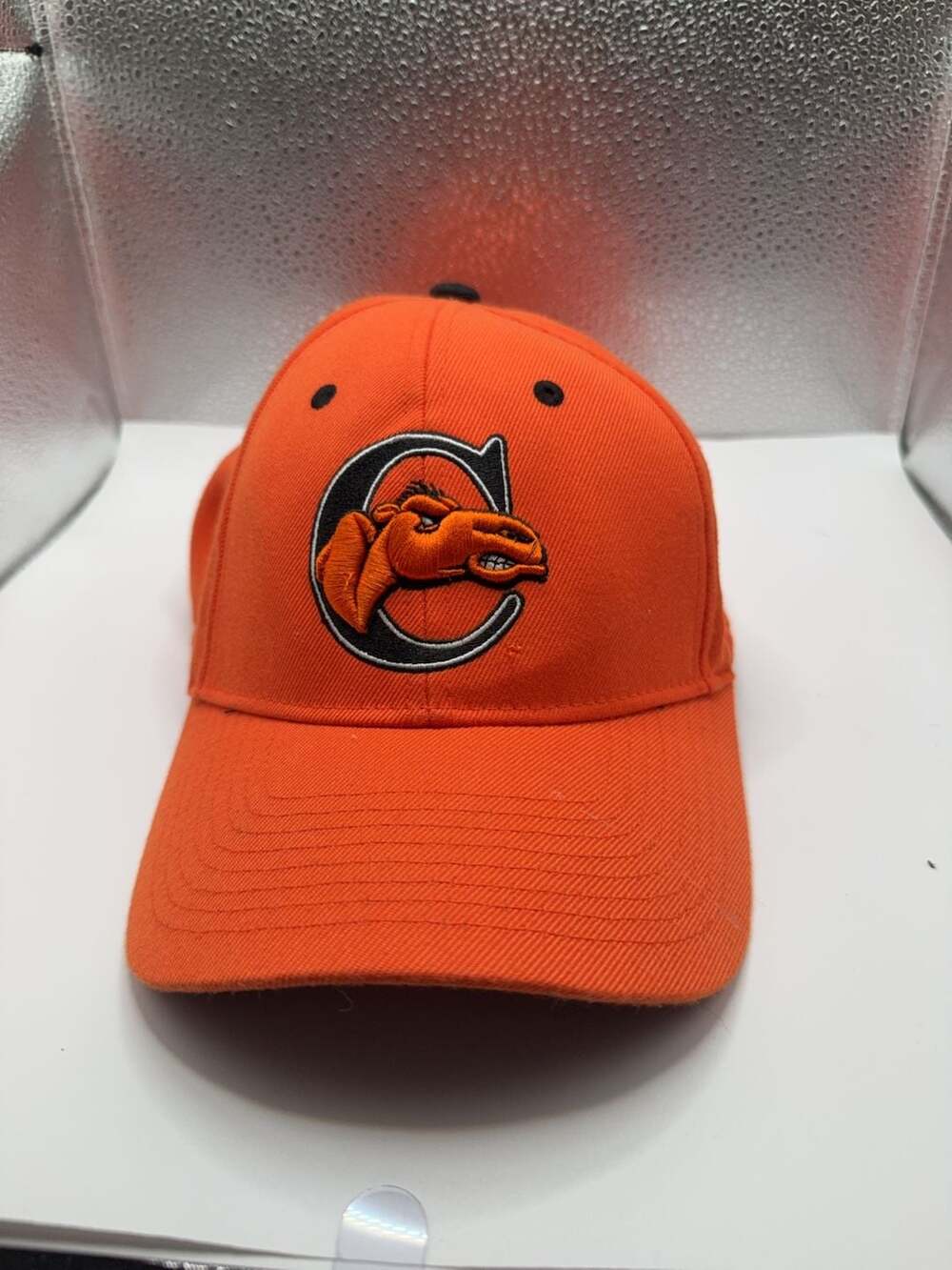 Zephyr Campbell University Fighting Camels Baseball Cap Hat